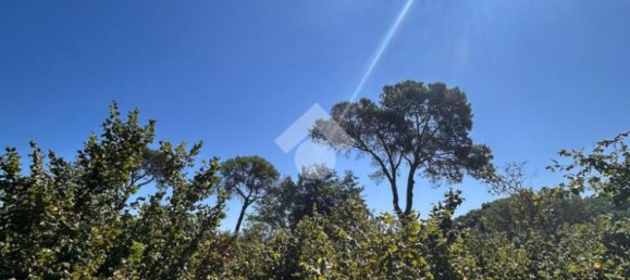  قطعة أرض في Civita Castellana, Italy 26046متر مربع رقم 273408 3