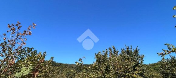  قطعة أرض في Civita Castellana, Italy 26046متر مربع رقم 273408 5