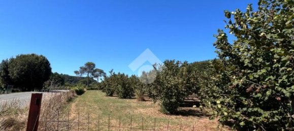  قطعة أرض في Civita Castellana, Italy 26046متر مربع رقم 273408 15