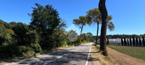  قطعة أرض في Civita Castellana, Italy 26046متر مربع رقم 273408 13