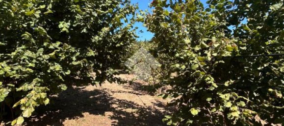  قطعة أرض في Civita Castellana, Italy 26046متر مربع رقم 273408 12