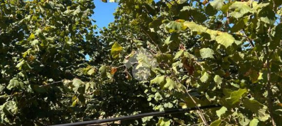  قطعة أرض في Civita Castellana, Italy 26046متر مربع رقم 273408 7