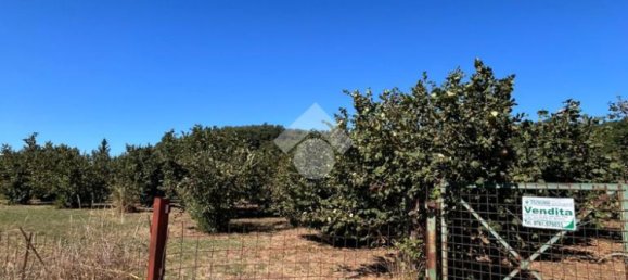  قطعة أرض في Civita Castellana, Italy 26046متر مربع رقم 273408 4