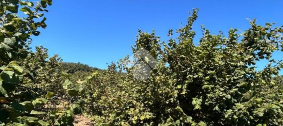  قطعة أرض في Civita Castellana, Italy 26046متر مربع رقم 273408 6