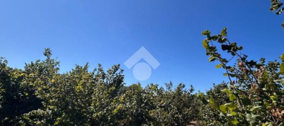  قطعة أرض في Civita Castellana, Italy 26046متر مربع رقم 273408 9