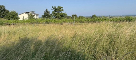  Land in Fels am Wagram, Austria No. 145017 4