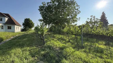  Land in Fels am Wagram, Austria No. 145017