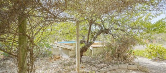 Villa de 4 dormitorios en Alicante, Spain No. 67083 40