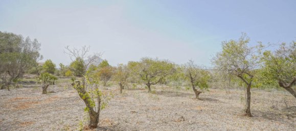 Villa de 4 dormitorios en Alicante, Spain No. 67083 37