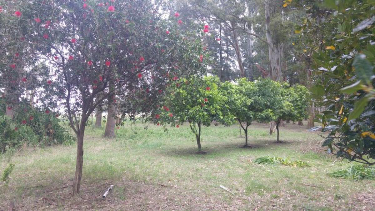 Propiedad comercial en Buenos Aires, Argentina 12 m² No. 104740