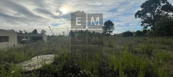 3228m² Land in Oliveira de Azemeis, Portugal No. 73608 9