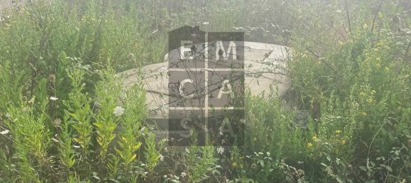 3228m² Land in Oliveira de Azemeis, Portugal No. 73608 5