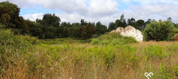 Земельный участок в Alcafache, Португалия № 69521 3