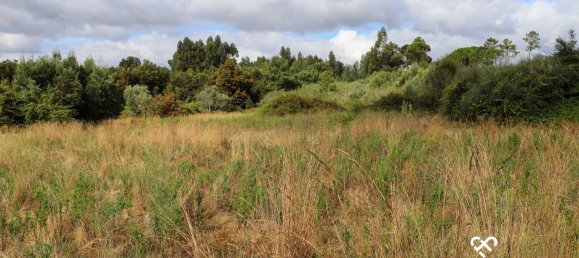 Земельный участок в Alcafache, Португалия № 69521 4