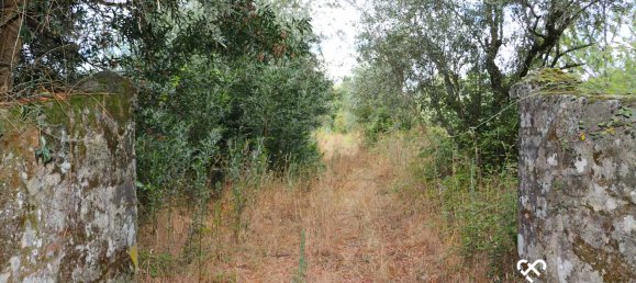 Земельный участок в Alcafache, Португалия № 69521 6