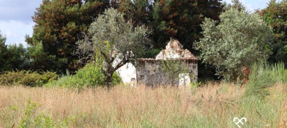 Земельный участок в Alcafache, Португалия № 69521 2