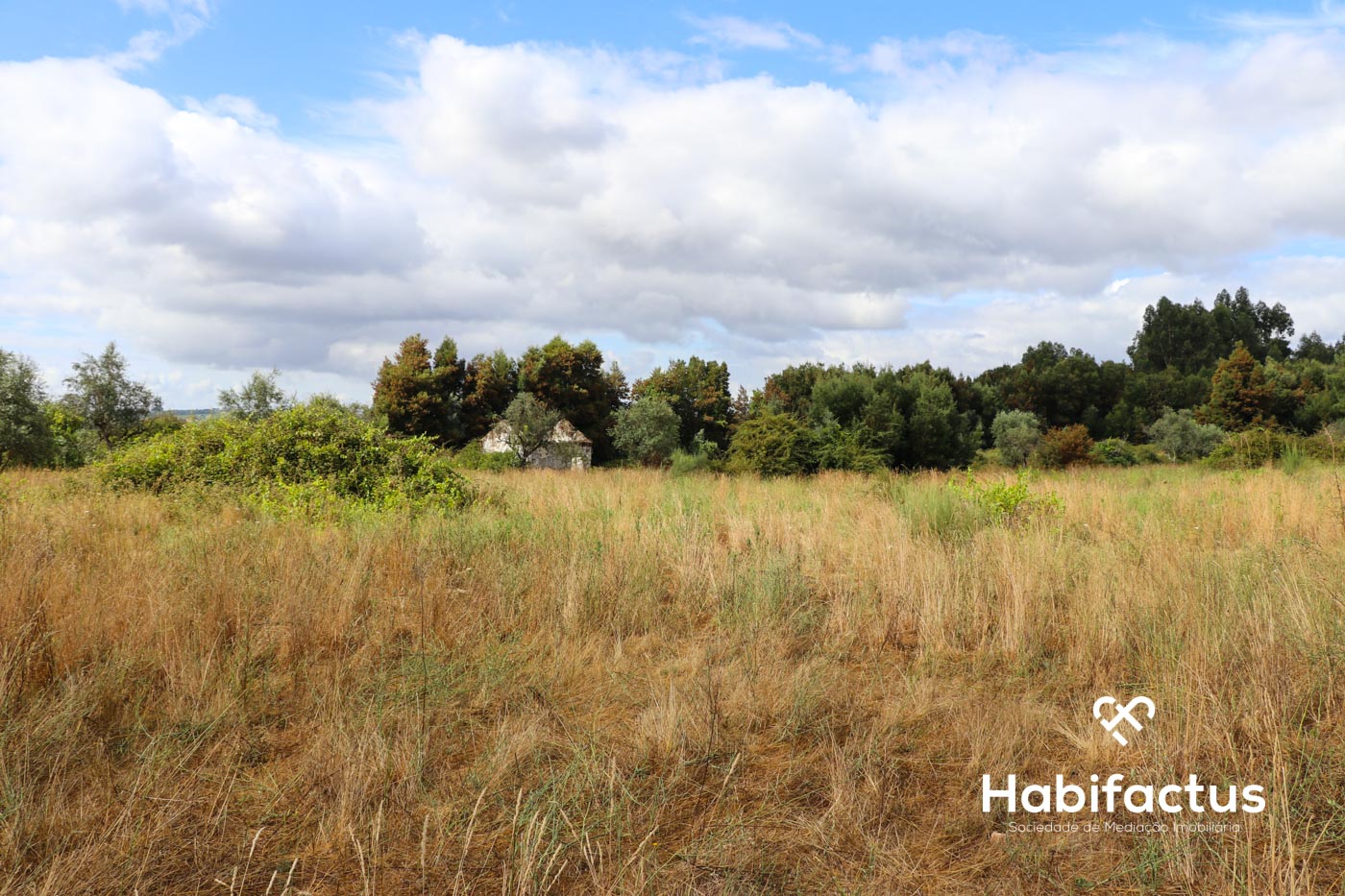 Земельный участок в Alcafache, Португалия № 69521