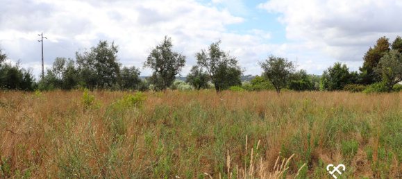 Земельный участок в Alcafache, Португалия № 69521 5