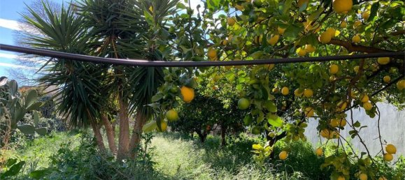 Дуплекс с 7 комнатами в Ното, Италия № 115430 39