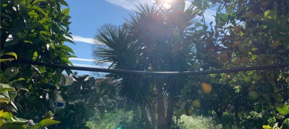 Дуплекс с 7 комнатами в Ното, Италия № 115430 40