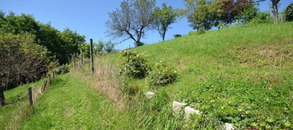 5 rooms House in Jennersdorf, Austria No. 236522 40