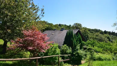 5 rooms House in Jennersdorf, Austria No. 236522