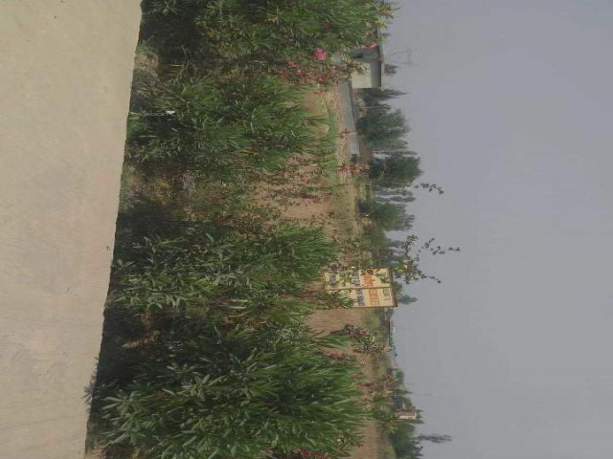 Grundstück in Ghaziabad, India, Nr. 31566