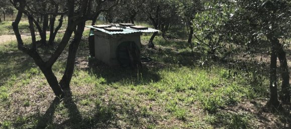 Grundstück in Arezzo, Italy 2470m², Nr. 139562 11