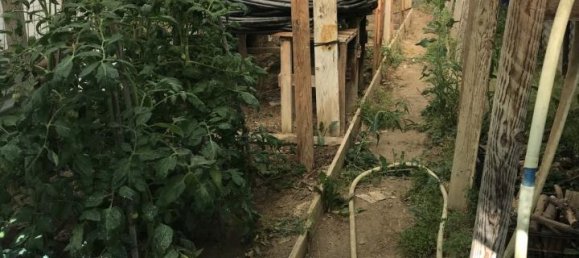 Grundstück in Arezzo, Italy 2470m², Nr. 139562 4