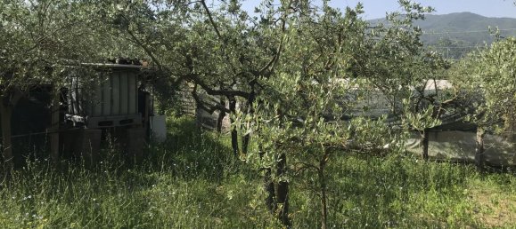 Grundstück in Arezzo, Italy 2470m², Nr. 139562 9