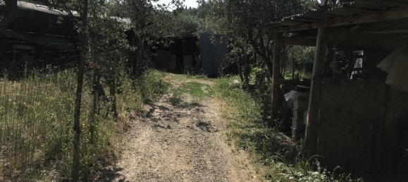 Grundstück in Arezzo, Italy 2470m², Nr. 139562 7