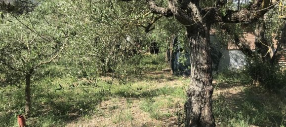 Grundstück in Arezzo, Italy 2470m², Nr. 139562 8