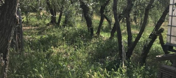 Grundstück in Arezzo, Italy 2470m², Nr. 139562 5