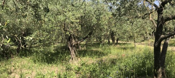 Grundstück in Arezzo, Italy 2470m², Nr. 139562 2