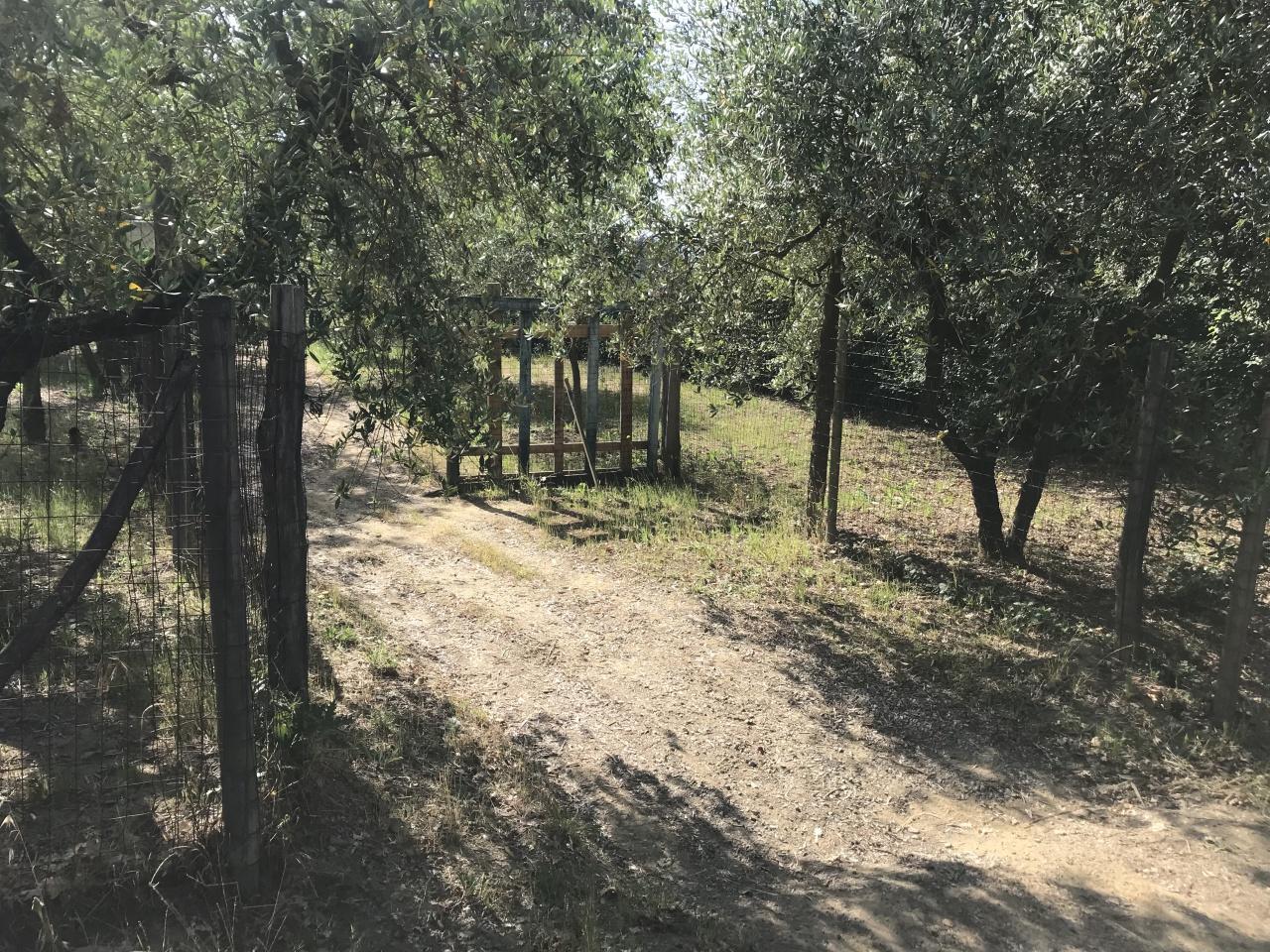 Grundstück in Arezzo, Italy 2470m², Nr. 139562