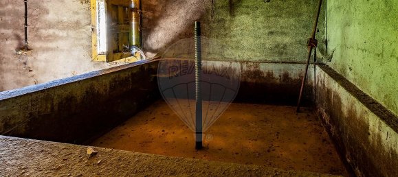 4 bedrooms House in Baiao, Portugal No. 16365 13