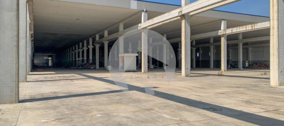 Lagerhaus in Sant'Egidio alla Vibrata, Italy 14600m², Nr. 314036 16