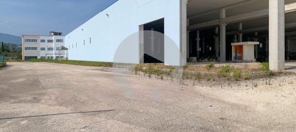 Lagerhaus in Sant'Egidio alla Vibrata, Italy 14600m², Nr. 314036 15