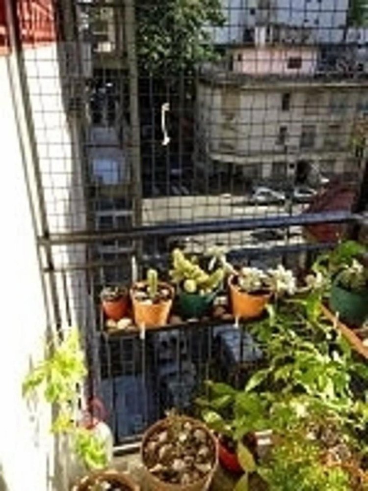 2 bedrooms Apartment in Buenos Aires, Argentina No. 82070