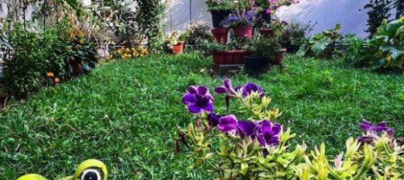 Apartamento de 2 divisões em Meidling, Austria N.º 231404 13