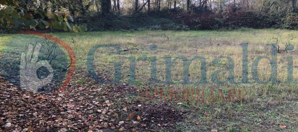 4 bedrooms House in Locate di Triulzi, Italy No. 329365 17