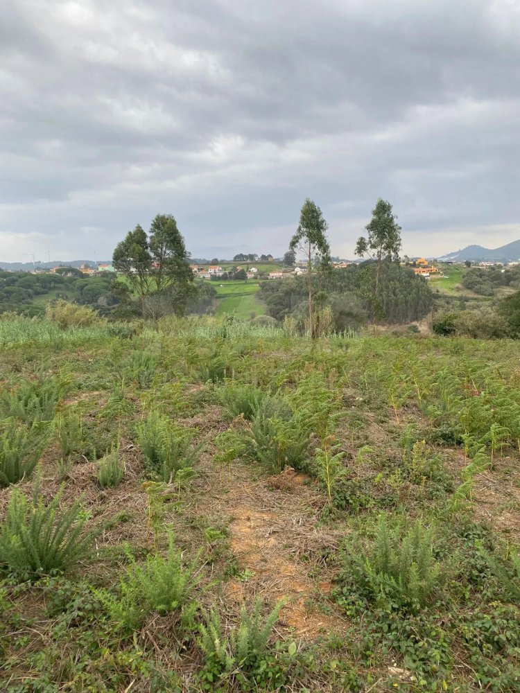 Grundstück in Mafra, Portugal, Nr. 125413