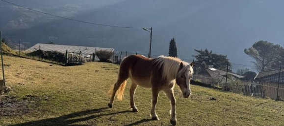 360m² Building in Valbrona, Italy No. 113715 12