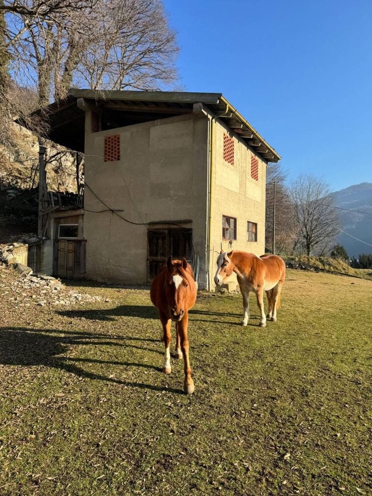 360m² Building in Valbrona, Italy No. 113715