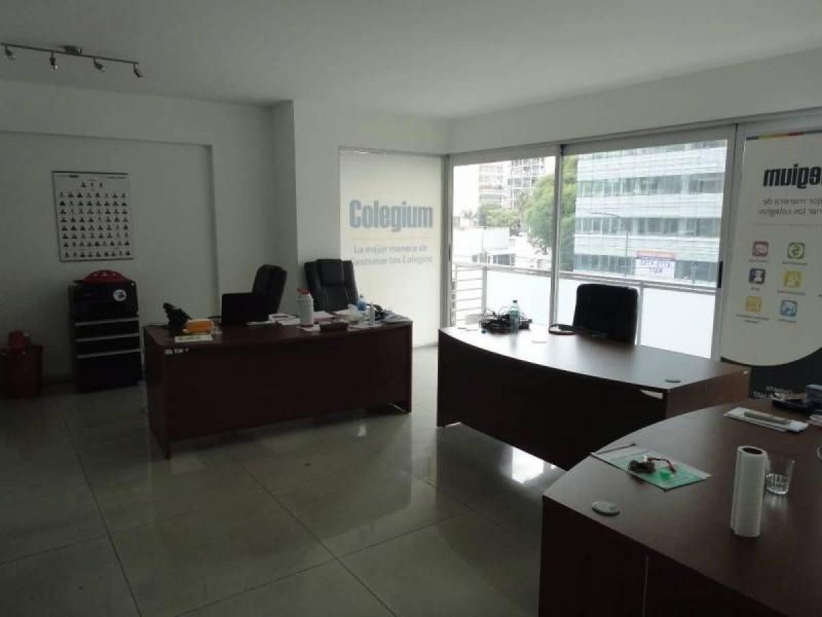 Büro in Buenos Aires, Argentina 46m², Nr. 107729