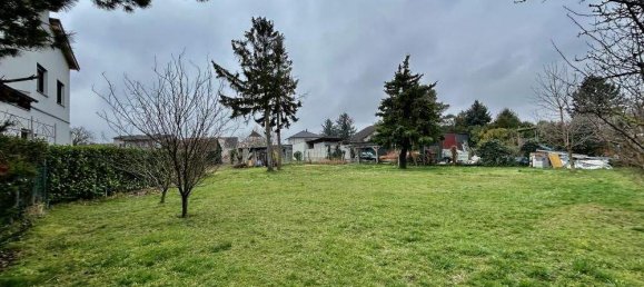 5-Zimmer Haus in Obersiebenbrunn, Austria, Nr. 57382 2