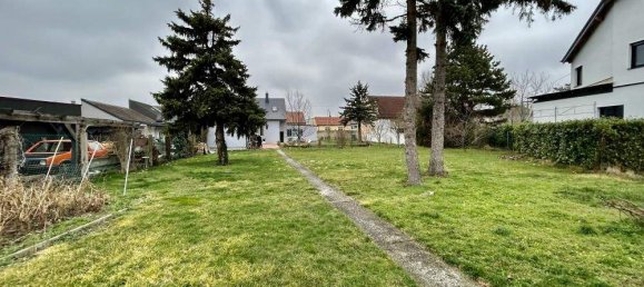 5-Zimmer Haus in Obersiebenbrunn, Austria, Nr. 57382 3