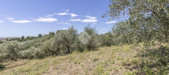 5 bedrooms Villa in Castelnuovo di Porto, Italy No. 10613 16