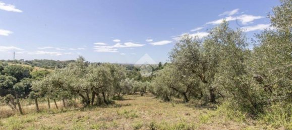 5 bedrooms Villa in Castelnuovo di Porto, Italy No. 10613 15