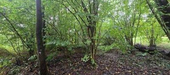 Terreno em Rhein-Neckar-Kreis, Germany 823 m² N.º 281885 2